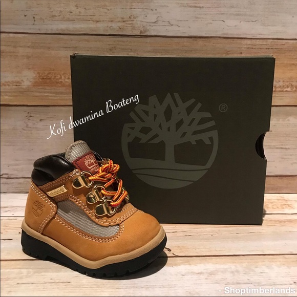 infant timberland field boots